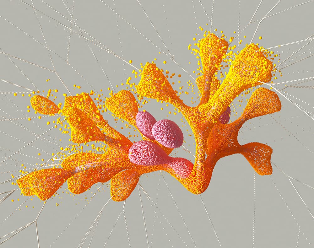 AI Solutions - Mudimedia Software Service